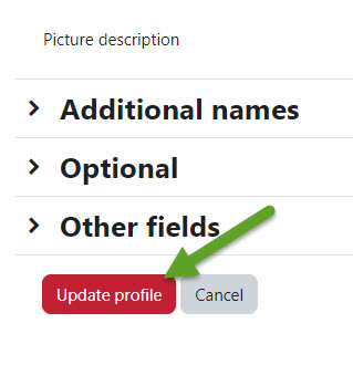 Arrow pointing to "Update profile" button